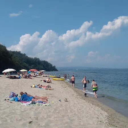 Hemingway In Happy * Varna