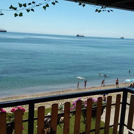 Hemingway In Happy Varna