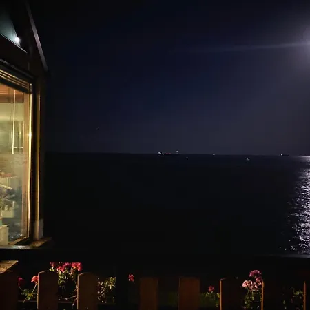 Hemingway In Happy Varna