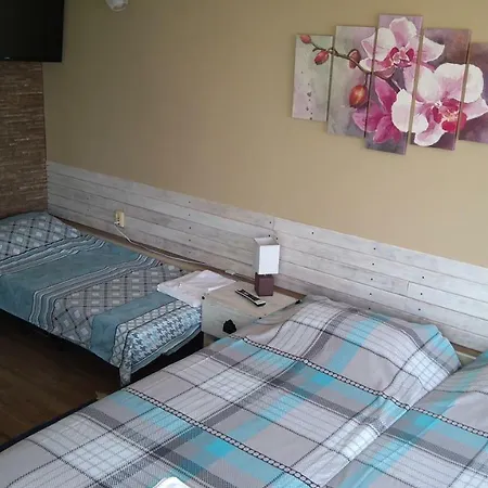 Hemingway In Happy Gasthuis 3*