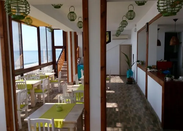 Hemingway In Happy Warna