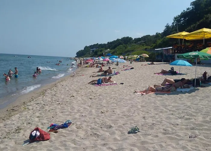 Pensjonat Hemingway In Happy Warna