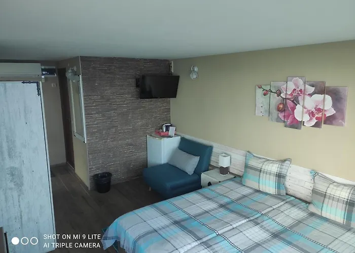 Pensjonat Hemingway In Happy Warna