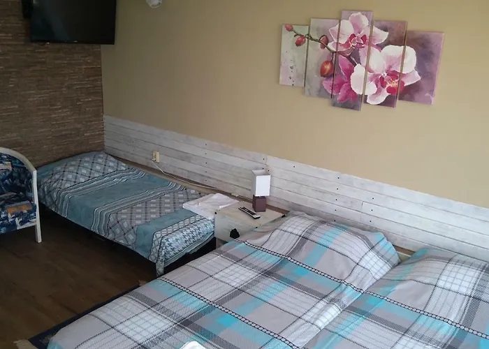 Hemingway In Happy Pensjonat 3*